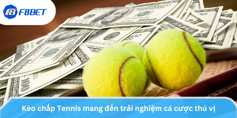 Cá Cược Tennis - Tổng Hợp Quy Tắc Và Hình Thức Kèo Phổ Biến