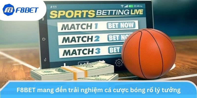 Cá Cược Bóng Rổ - Quy Tắc Chơi Và Các Tỷ Lệ Kèo Phổ Biến - F8BET
