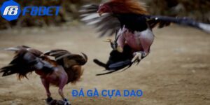 Đá Gà F8BET - Trận Đấu Kịch Tính, Cược Lợi Nhuận Cao