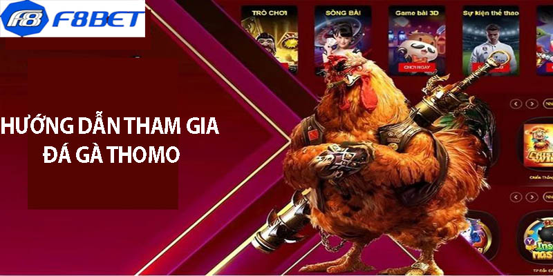Đá Gà Thomo Nơi Cược An Toàn Và Uy Tín - F8BET
