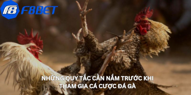 Đá Gà Cựa Dao - Trải Nghiệm Nghệ Thuật Cá Cược Độc Đáo