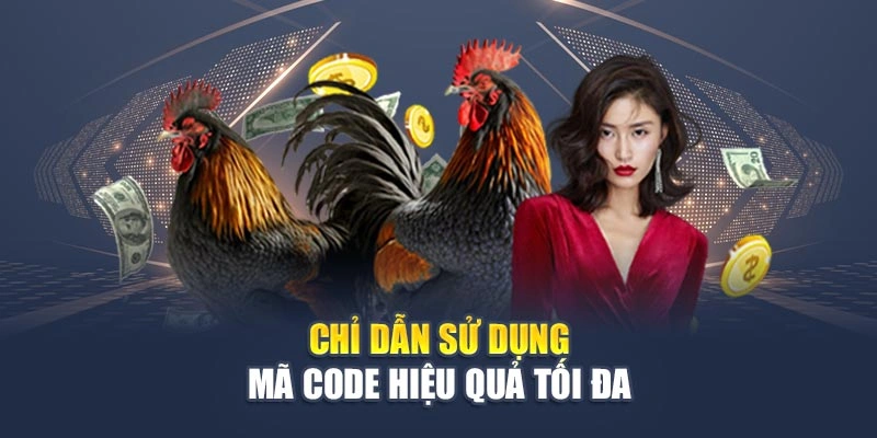 Code Cược Đá Gà Vũ Khí Bí Mật Để Nâng Cao Hiệu Quả Cược