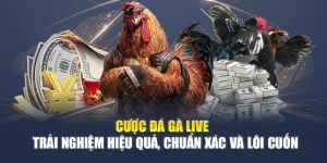 Đá Gà F8BET - Trận Đấu Kịch Tính, Cược Lợi Nhuận Cao