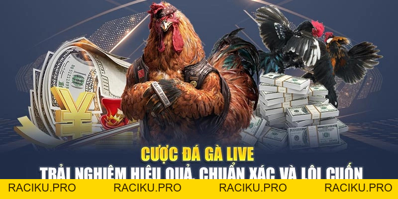 Cược Đá Gà Live - Trải Nghiệm Hiệu Quả, Chuẩn Xác Và Lôi Cuốn