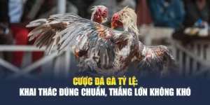 Đá Gà F8BET - Trận Đấu Kịch Tính, Cược Lợi Nhuận Cao
