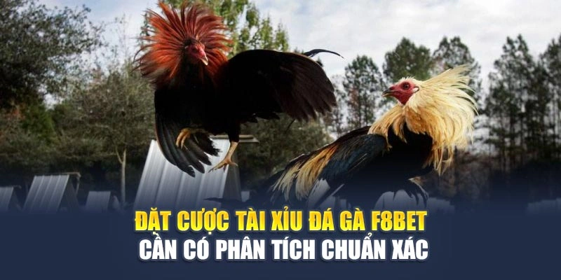 Tài Xỉu Đá Gà Là Gì? Cách Chơi Hiệu Quả Giúp Bạn Sinh Lời