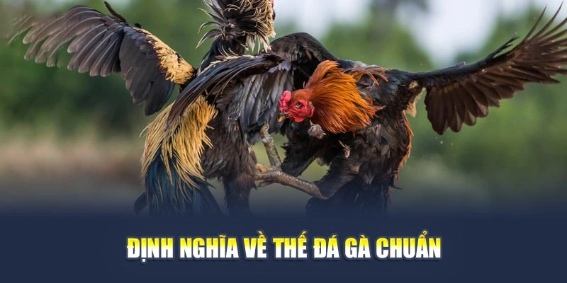 Thế Đá Gà Chuẩn Giúp Bạn Đọc Kèo Trận Đấu Chính Xác