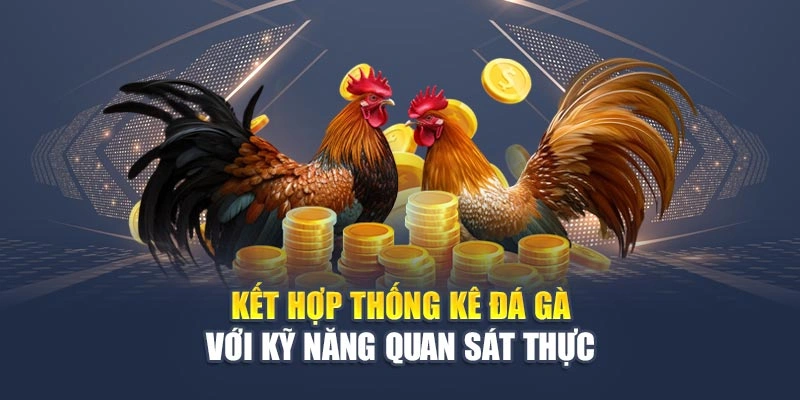 Thống Kê Đá Gà Thắng – Bí Quyết Chiếm Ưu Thế Khi Cá Cược