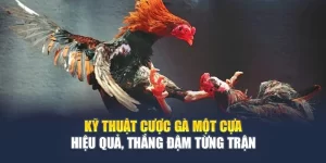 Đá Gà F8BET - Trận Đấu Kịch Tính, Cược Lợi Nhuận Cao