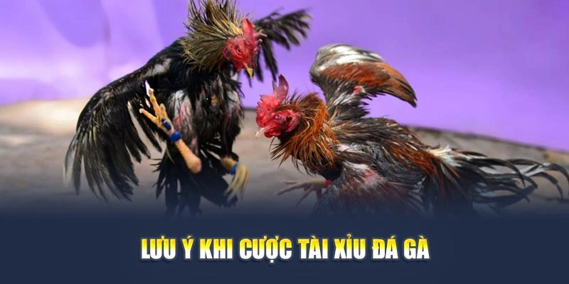 Tài Xỉu Đá Gà Là Gì? Cách Chơi Hiệu Quả Giúp Bạn Sinh Lời