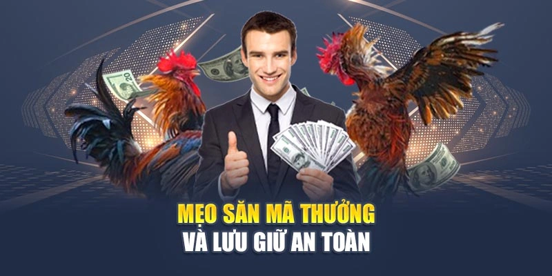 Code Cược Đá Gà Vũ Khí Bí Mật Để Nâng Cao Hiệu Quả Cược