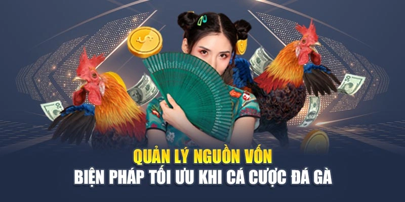 Cược Đá Gà Live - Trải Nghiệm Hiệu Quả, Chuẩn Xác Và Lôi Cuốn