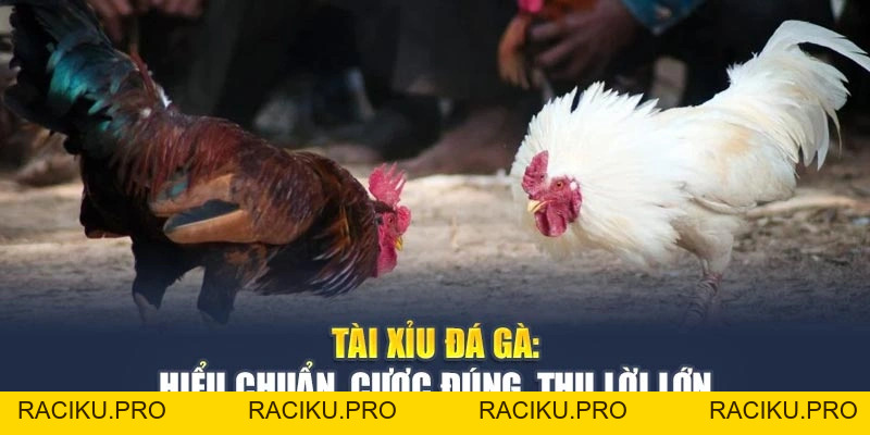 Tài Xỉu Đá Gà Là Gì? Cách Chơi Hiệu Quả Giúp Bạn Sinh Lời