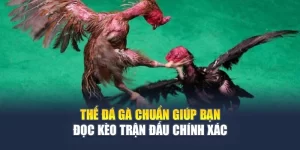 Đá Gà F8BET - Trận Đấu Kịch Tính, Cược Lợi Nhuận Cao