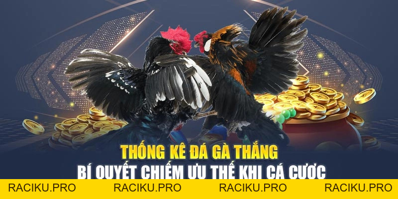Thống Kê Đá Gà Thắng – Bí Quyết Chiếm Ưu Thế Khi Cá Cược