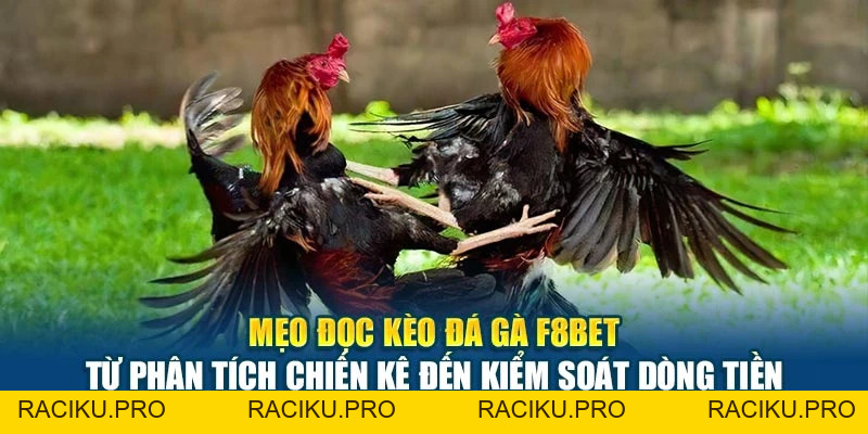 Đá Gà F8BET - Trận Đấu Kịch Tính, Cược Lợi Nhuận Cao