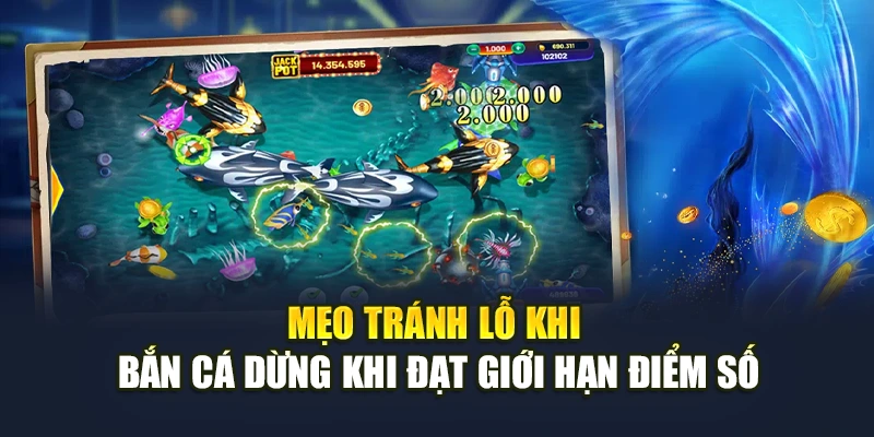 Mẹo Tránh Lỗ Khi Bắn Cá Hiệu Quả Và Thông Minh Nhất