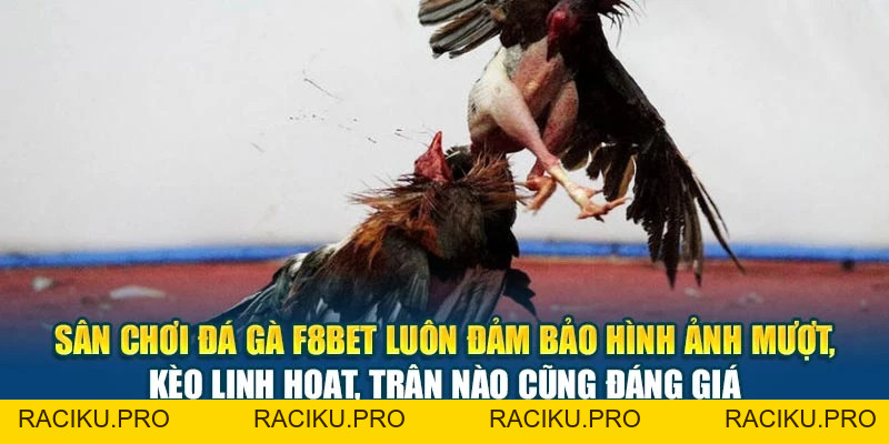 Đá Gà F8BET - Trận Đấu Kịch Tính, Cược Lợi Nhuận Cao