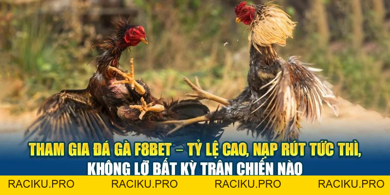 Đá Gà F8BET - Trận Đấu Kịch Tính, Cược Lợi Nhuận Cao
