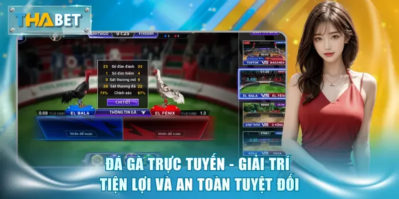 Đá Gà Thabet - Sảnh Cược Kịch Tính, Tỷ Lệ Thưởng Hấp Dẫn