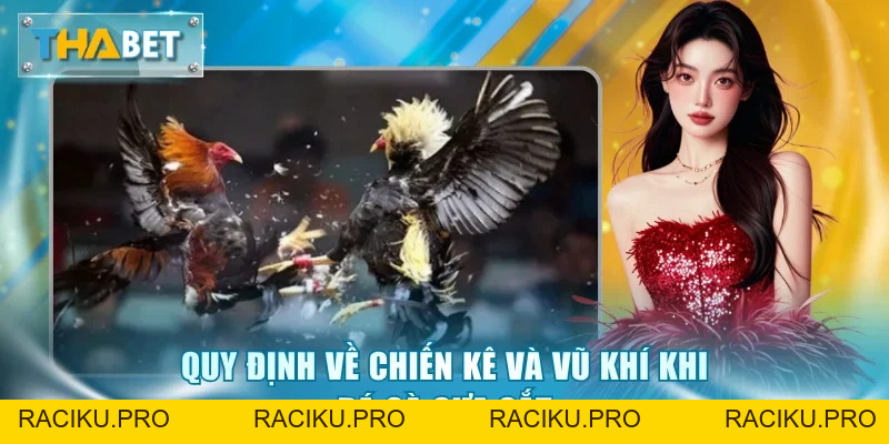 Đá Gà Cựa Sắt Thabet - Đấu Trường Kịch Tính Và Thưởng Lớn