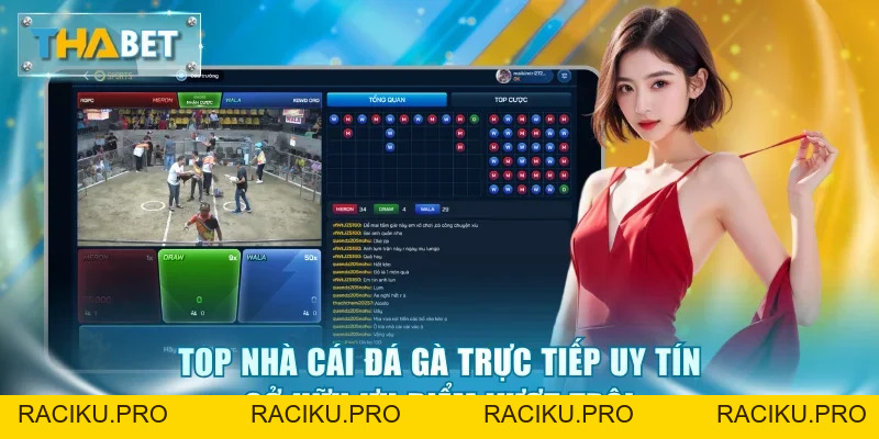 Top Nhà Cái Đá Gà Trực Tiếp Uy Tín - Vinh Danh Số 1 Thabet